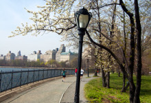 Vacker vårdag i Central Park, New York