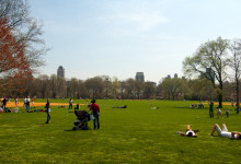 Central Park, New York
