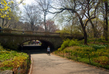 Central Park, New York