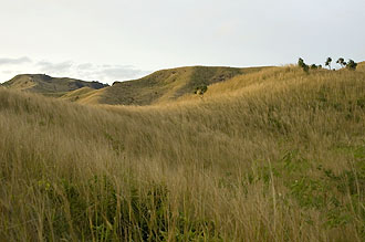 Vy på väg från Oarsman’s Bay