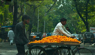 Blommor transporteras på cykel