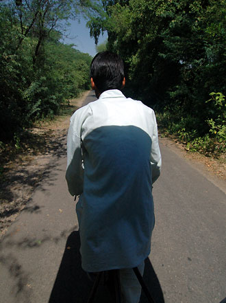 Rickshaw tur, Keoladeo Ghana National Park