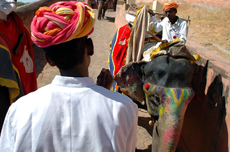 Upp till fortet tar vi oss på elefantrygg