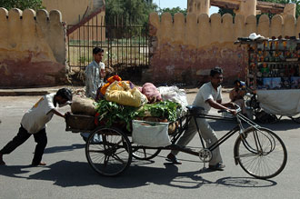 Cykeltransport