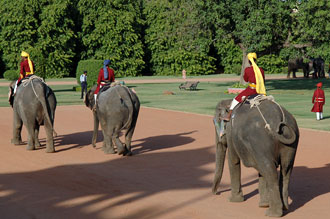 Elefanter på Rambagh Palace