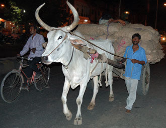 Transport, Jaipur
