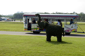 Trat Airport