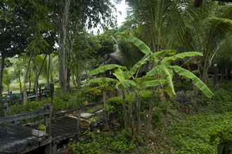 Regn över Koh Kood