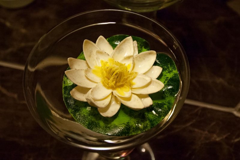 Tibet Hotel blomma, Chengdu Kina