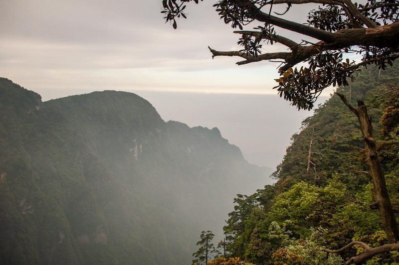 Vacker vy på väg uppför Mount Emei, Emeishan Kina