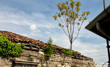 Uppe på Citta Alta, Bergamo