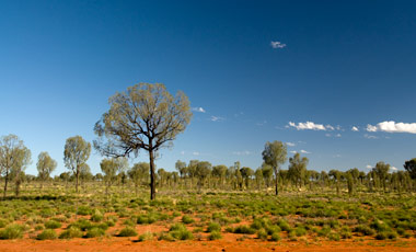 Uluru National Park, Ayers Rock