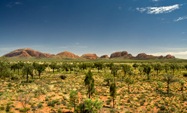 The Olgas