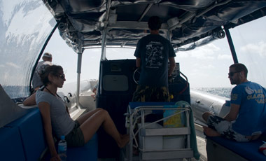 Ocean Safari Tour