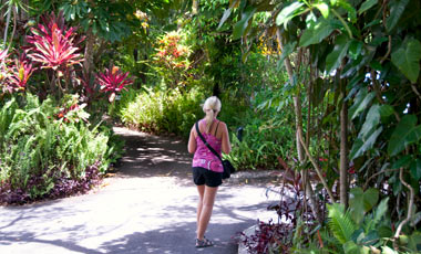 Kuranda village