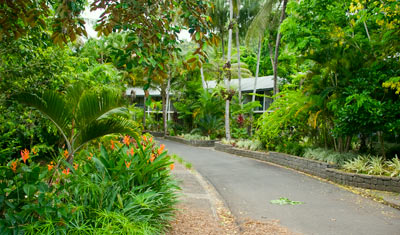 Dunk Island Resort