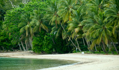 Strand, Dunk Island
