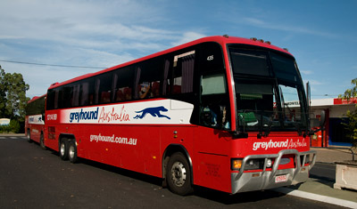Greyhoundbuss