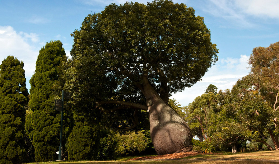 Royal Botanic Garden, Sydney