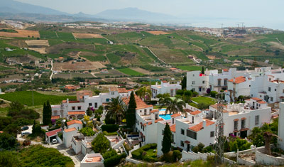 Boganvilla