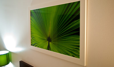 Colony Hotel, Miami beach