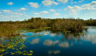 En vacker vy i Anhinga trail, Everglades Florida