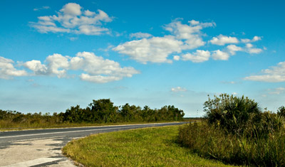 På väg ut från Royal Palms och Everglades, Florida