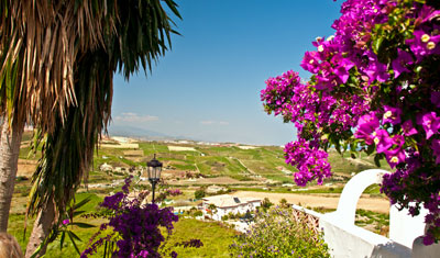 Monte Viñas