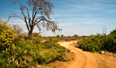 Vackra landskap i Meru National Park