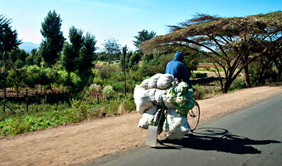 Stor lass på pakethållaren, cyklist i Kenya