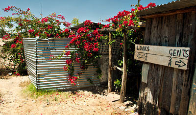 Bakgården med blommor kring toaletterna på Mrefu Curio Shop i Nyahururu, Kenya