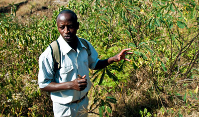 David som var guiden vid vår trekk ner i Menengai kratern, Kenya