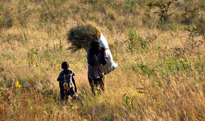 En kvinna med dagens skörd i sällskap av en liten pojke, Kenya