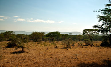 Vy över landskapet, Lake Nakuru, Kenya