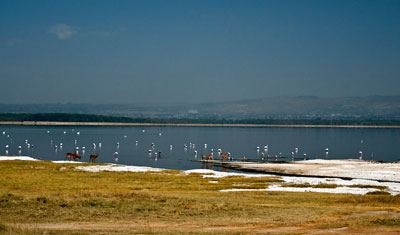 Sjön som gett platsen och parken sitt namn; Lake Nakuru Kenya