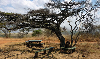 En underbar picknick plats i Lake Nakuru, Kenya