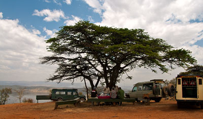 Under ett träd med fantastisk utsikt över Lake Nakuru, Kenya