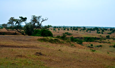 Gryning vid Masai Mara, Kenya