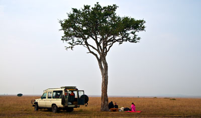 Frukost i det vilda Masai Mara, Kenya