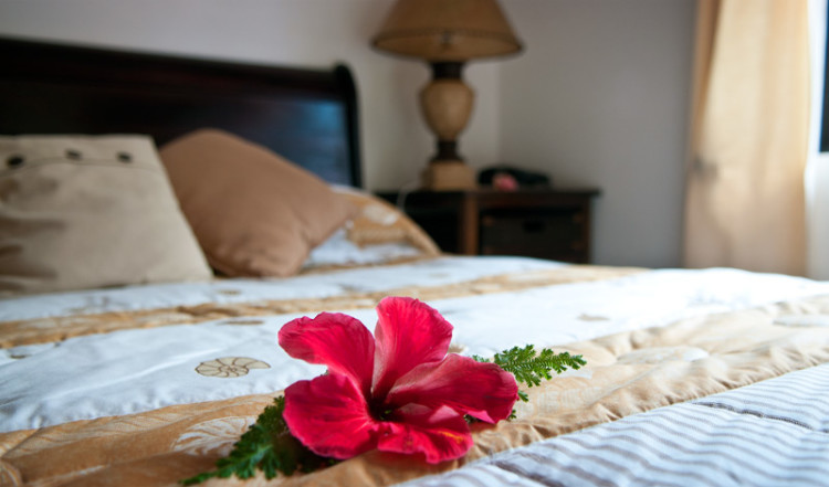 20110218-37-Flower-Superior-Room-Chateau-St-Cloud-La-Digue-Seychelles