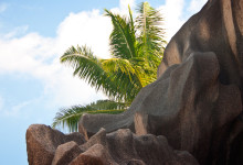 Klippor och palmer Grand Anse, La Digue Seychellerna