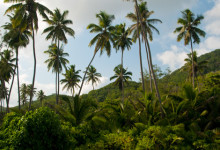 Vi lämnar Grand Anse, La Digue Seychellerna