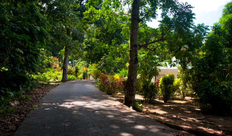 20110220-05-Street-La-Digue-Seychelles