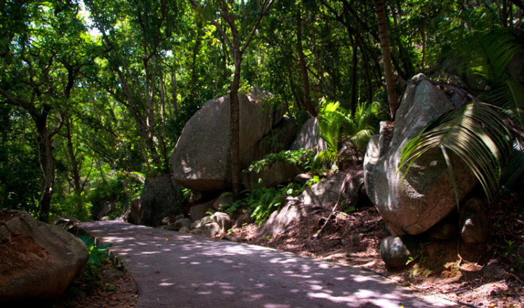 20110220-07-Street-La-Digue-Seychelles