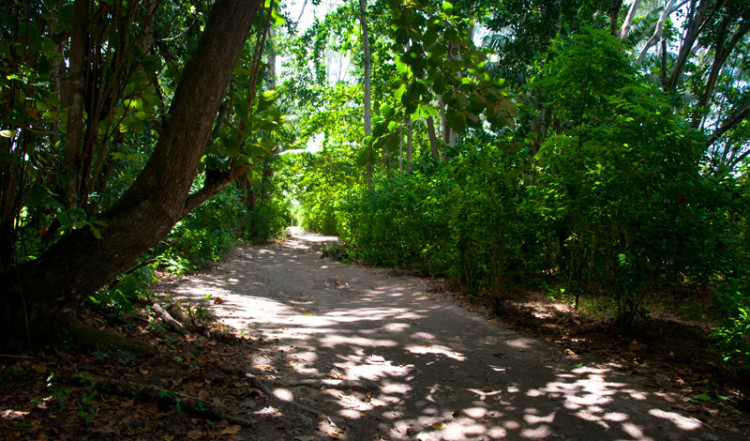 20110220-09-Way-to-Grand-Anse-La-Digue-Seychelles