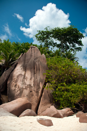 20110220-31-Petite-Anse-La-Digue-Seychelles