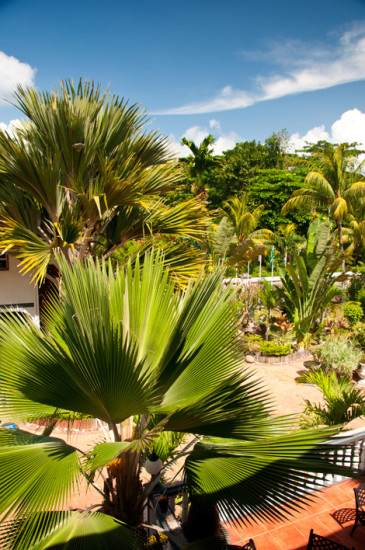 En underbar utsikt från rummet på Chateau St Cloud, La Digue Seychellerna