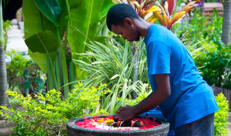 Personalen gör blomster dekorationer på Chateau St Cloud, La Digue Seychellerna
