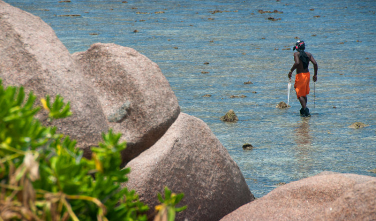 Fiskare till fots med fångst La Digue, Seychellerna
