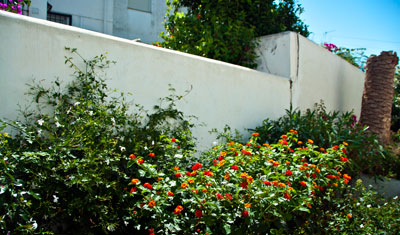 Vår blommande trädgård